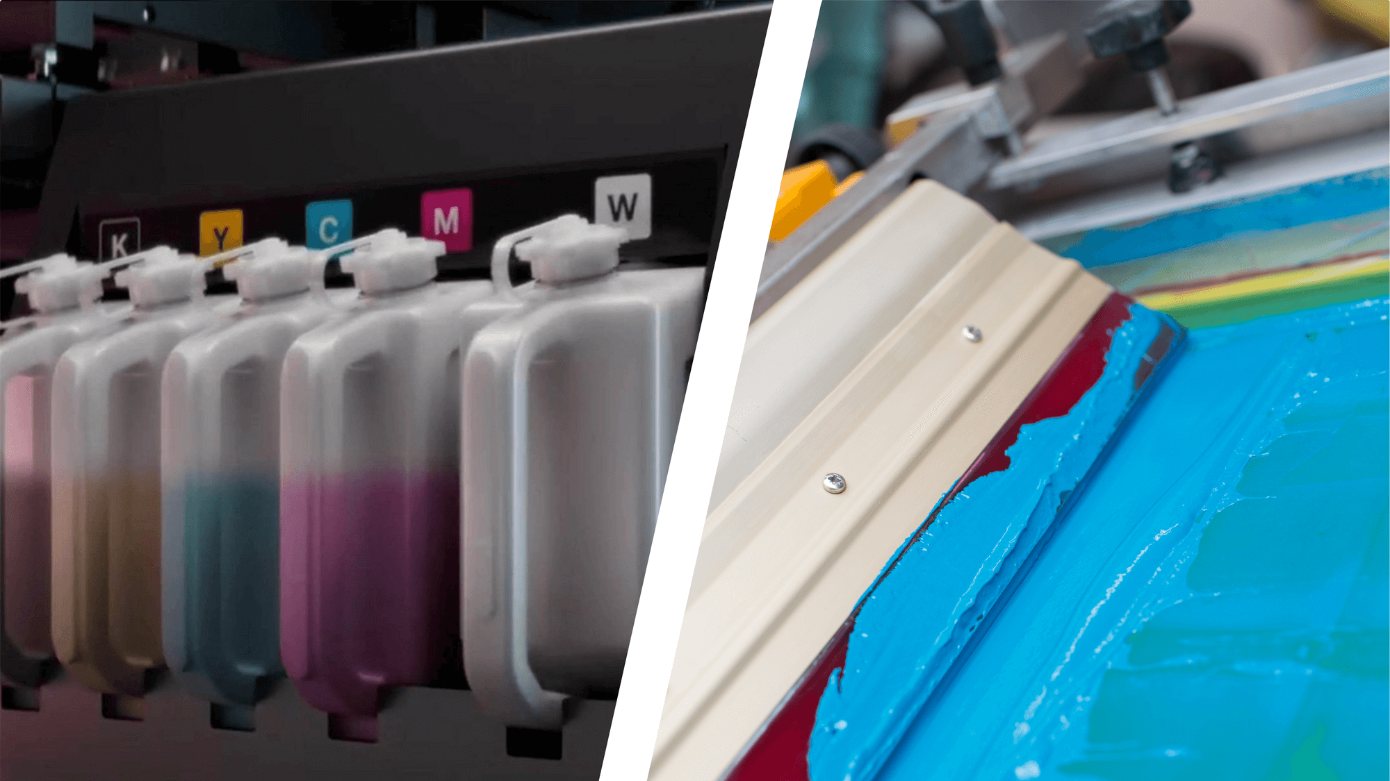 Descripción de la imagen